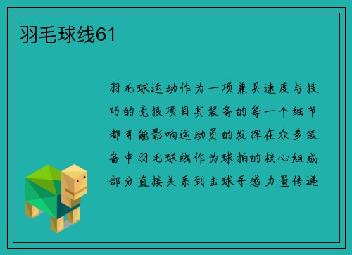 羽毛球线61