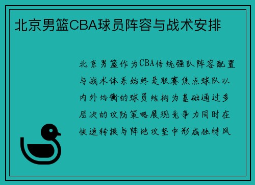 北京男篮CBA球员阵容与战术安排